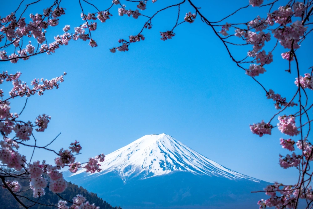 The Beauty of Japan